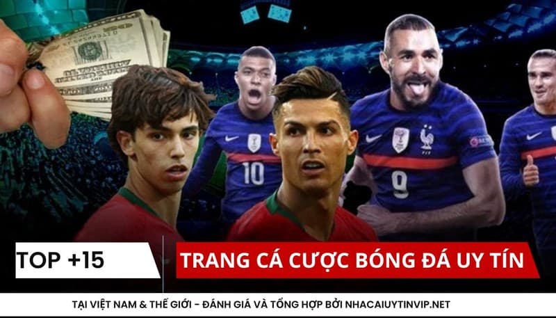 Trang cá cược bóng đá uy tín - Tại Việt nam & thế giới - Đánh giá và tổng hợp bởi NhacaiuytinVIP.NET